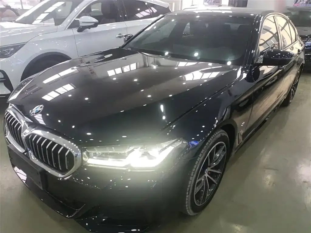 BMW 5 Series (Import) 2022 из CN, фото 1