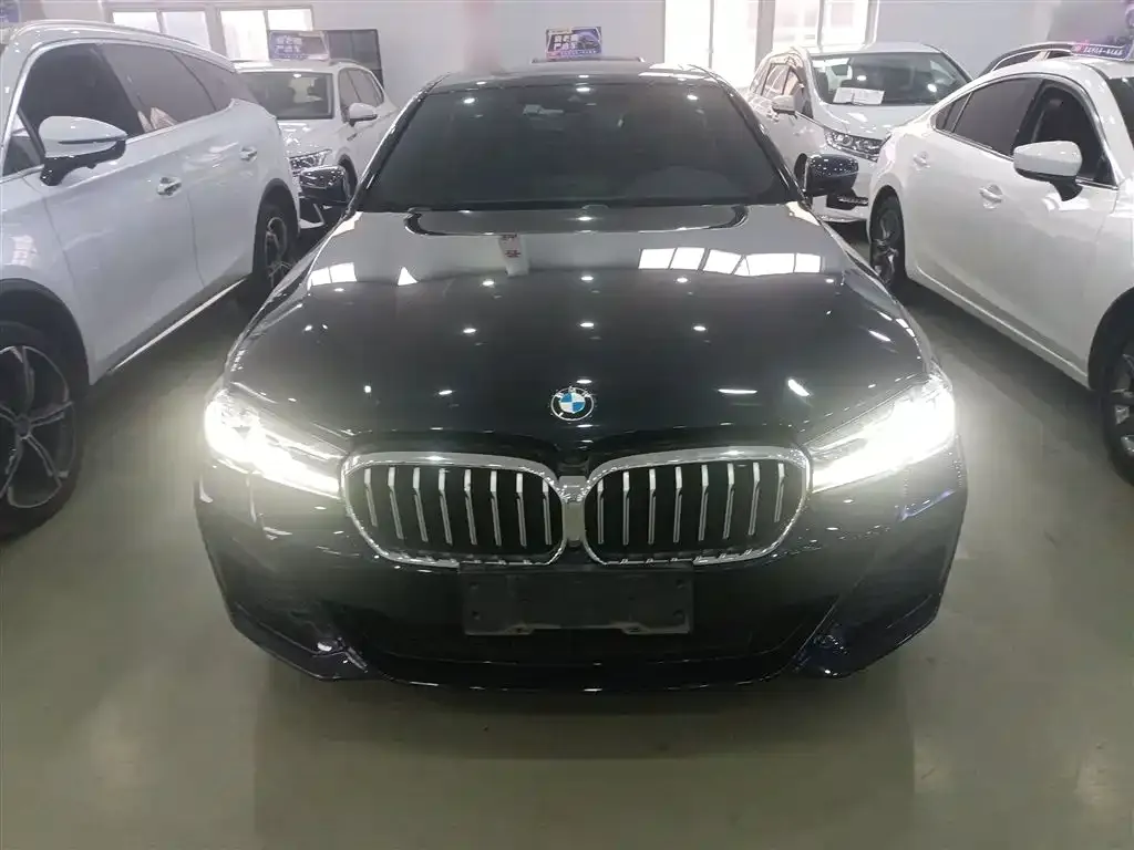 BMW 5 Series (Import) 2022 из CN, фото 2