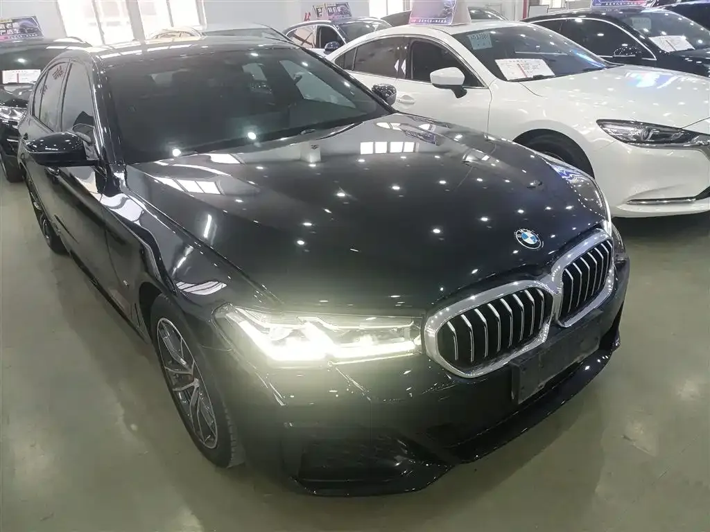 BMW 5 Series (Import) 2022 из CN, фото 6