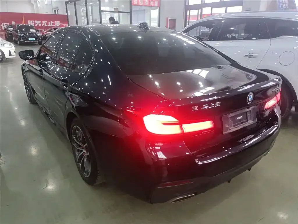 BMW 5 Series (Import) 2022 из CN, фото 10
