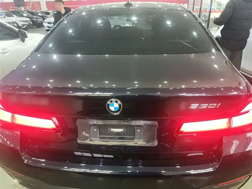 BMW 5 Series (Import) 2022 из CN, фото 7