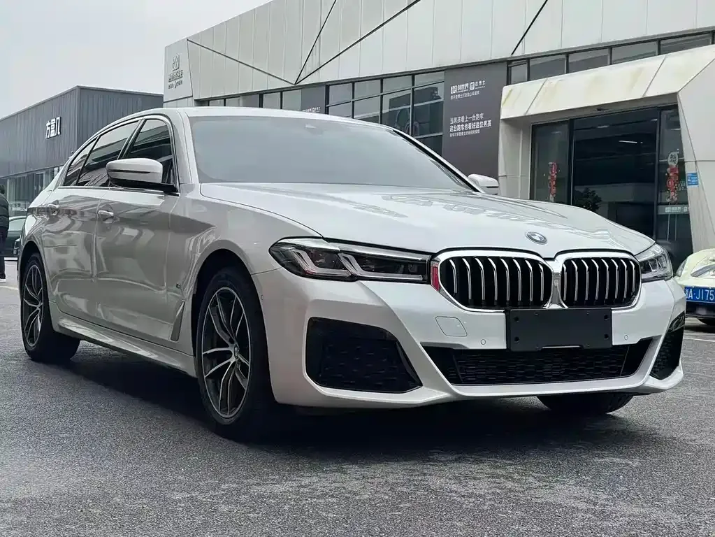 BMW 5 Series 2022 из CN, фото 3