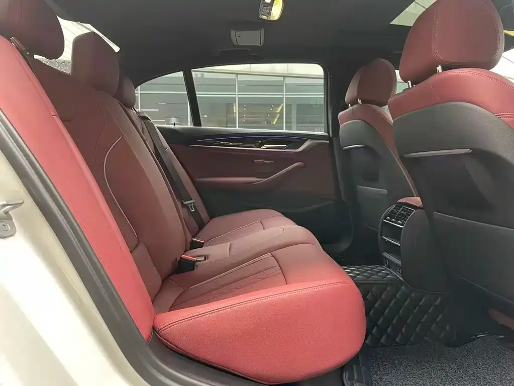 BMW 5 Series 2022 из CN, фото 6