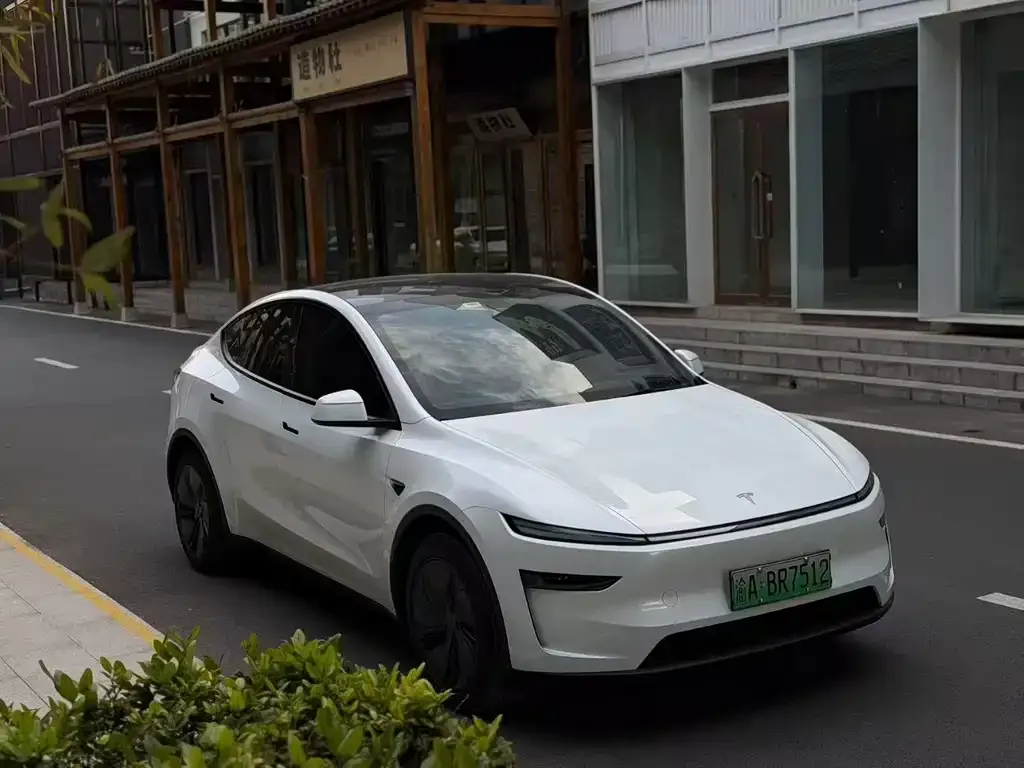 Tesla Model Y 2025 из CN, фото 7