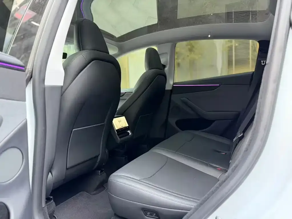 Tesla Model Y 2025 из CN, фото 2