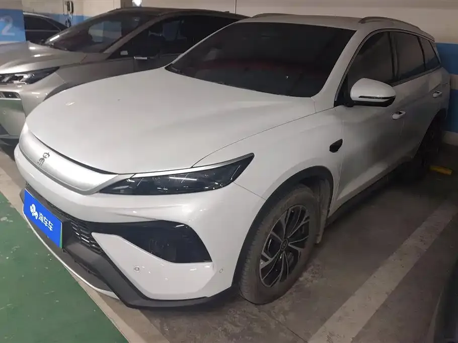 BYD Pro New Energy 2025 из CN, фото 1