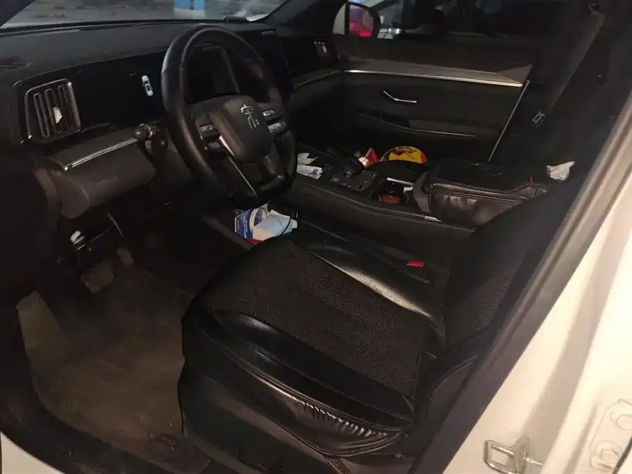 BYD Pro New Energy 2025 из CN, фото 9