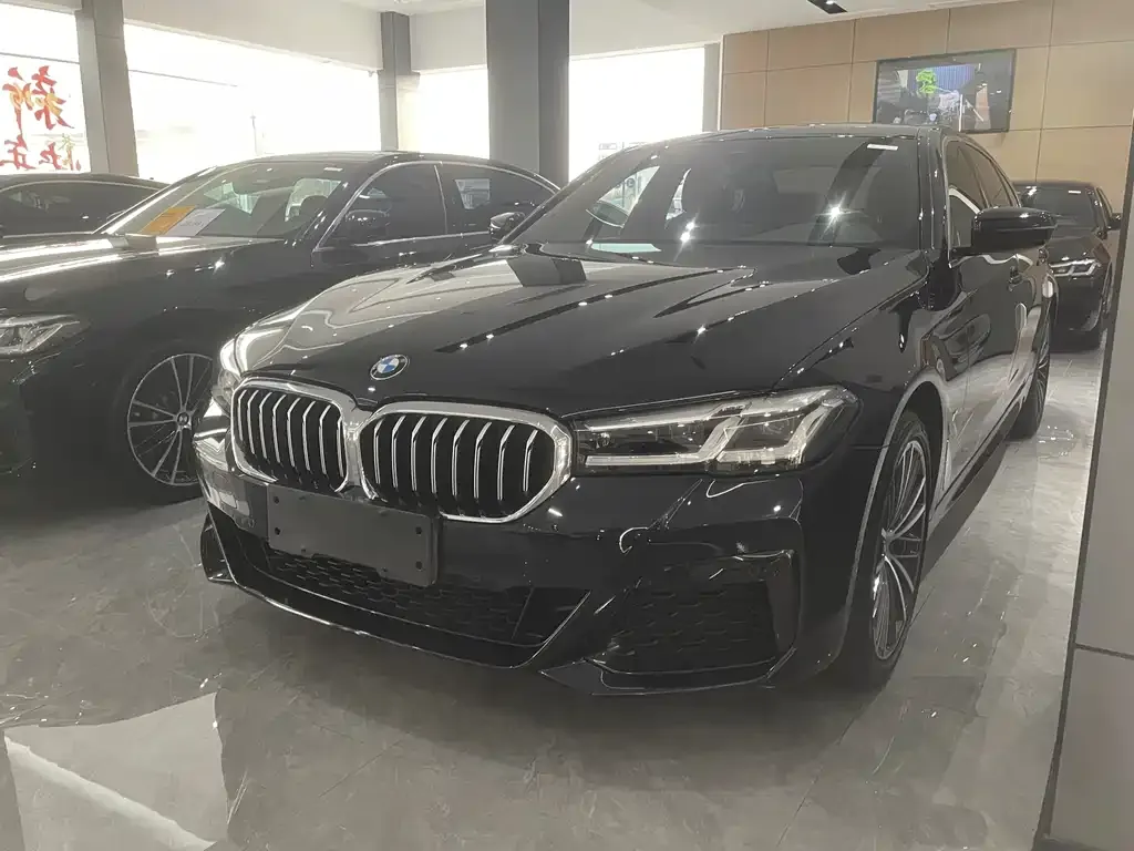BMW 5 Series 2021 из CN, фото 1