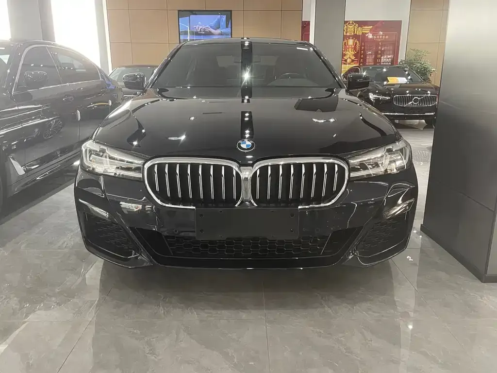 BMW 5 Series 2021 из CN, фото 2