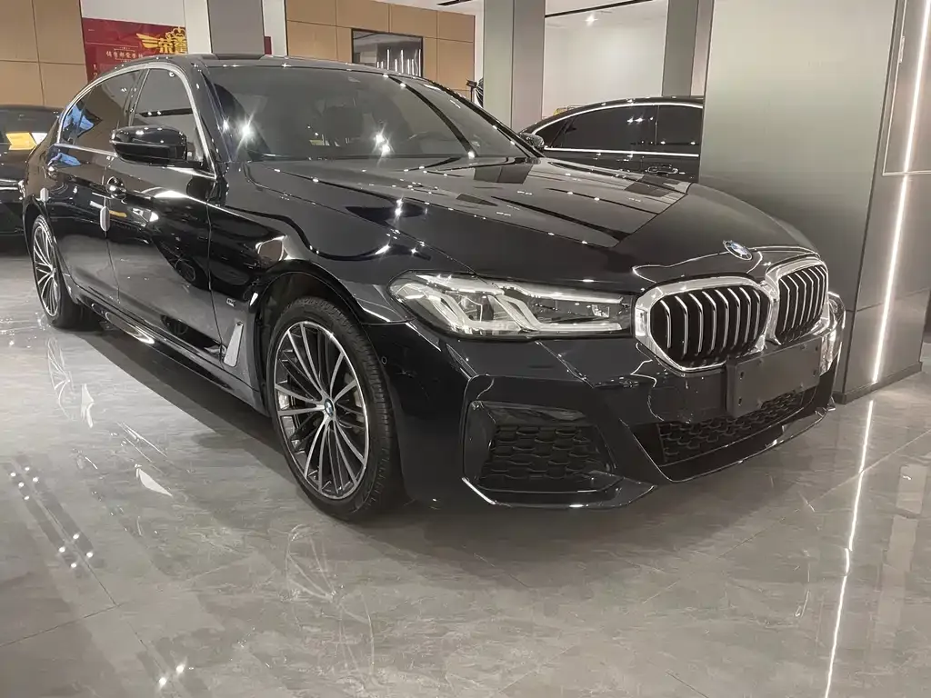 BMW 5 Series 2021 из CN, фото 5