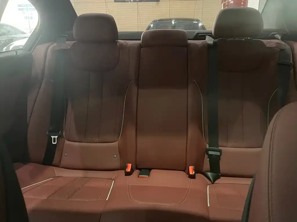 BMW 5 Series 2021 из CN, фото 7