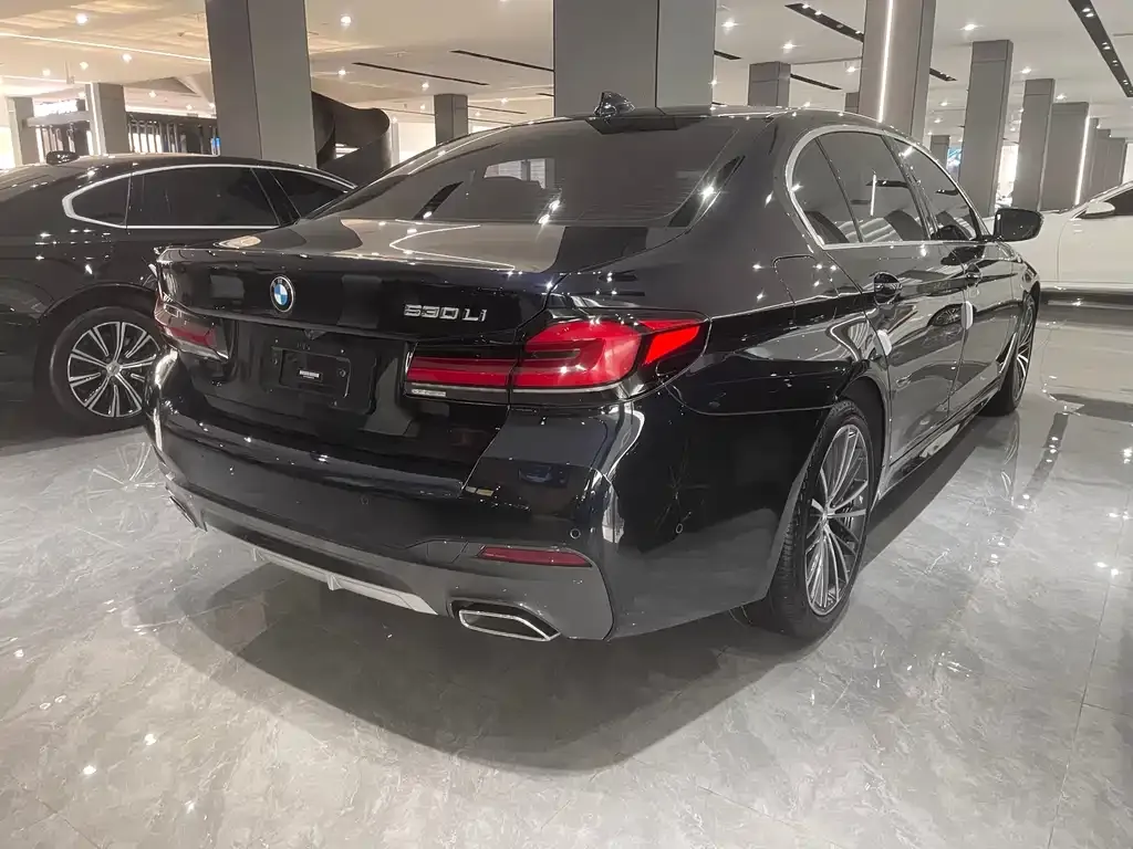BMW 5 Series 2021 из CN, фото 8