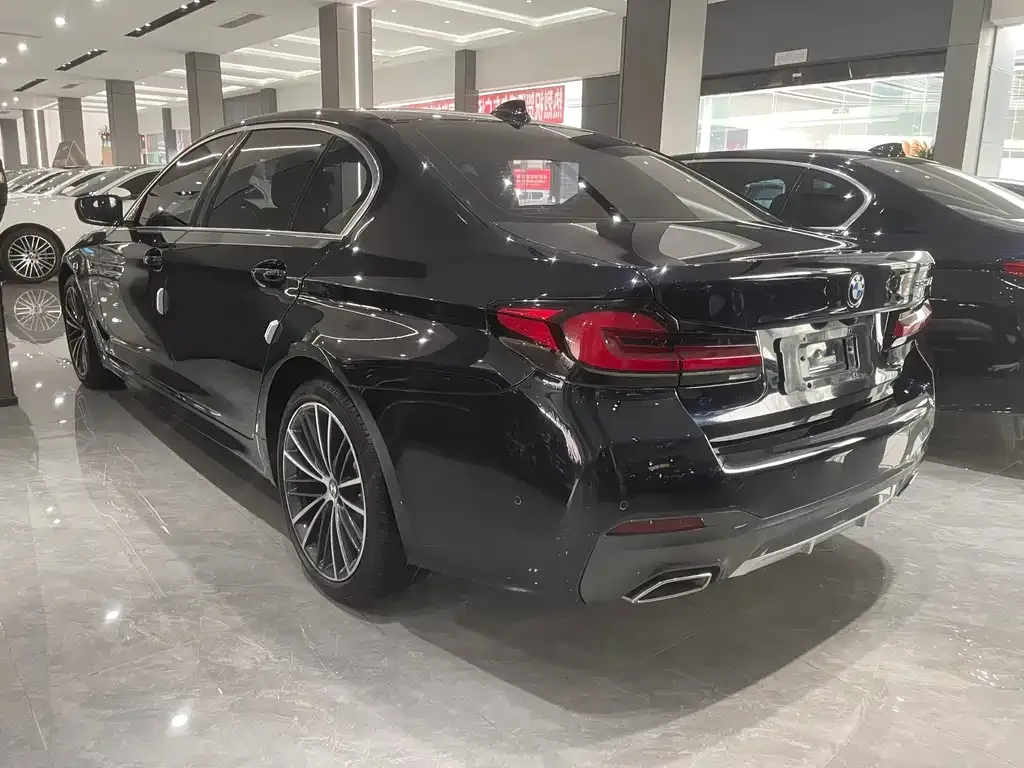 BMW 5 Series 2021 из CN, фото 9