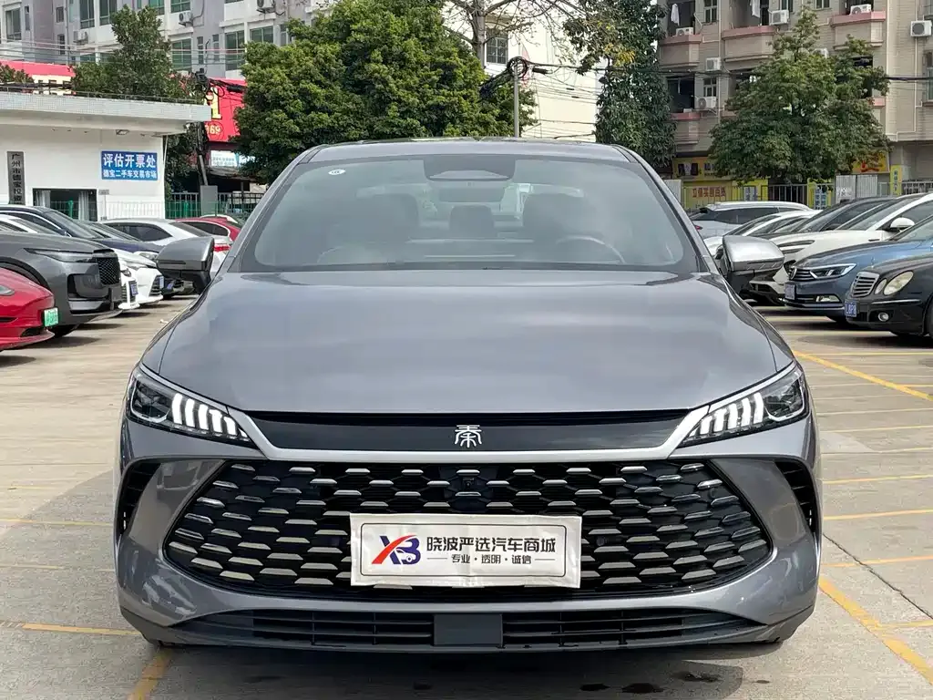 BYD Qin PLUS — фото 2