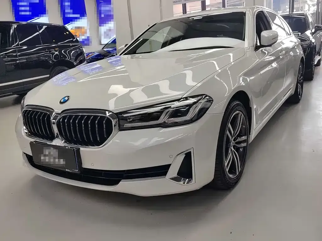 BMW 5 Series 2021 из CN, фото 1