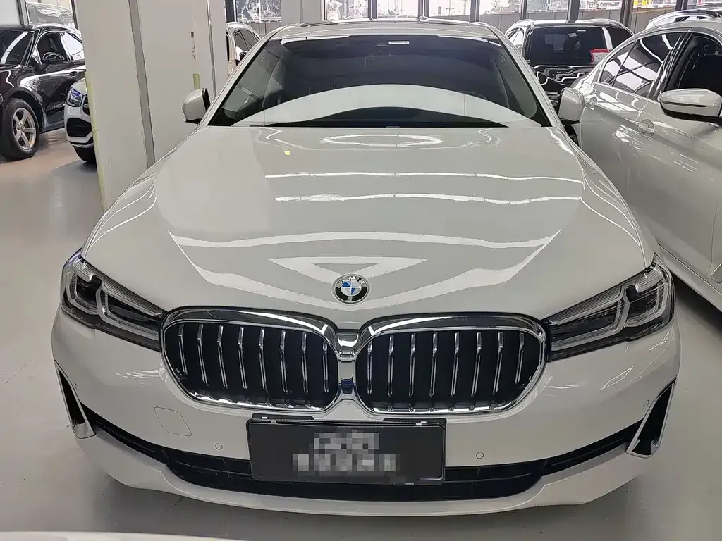 BMW 5 Series 2021 из CN, фото 2