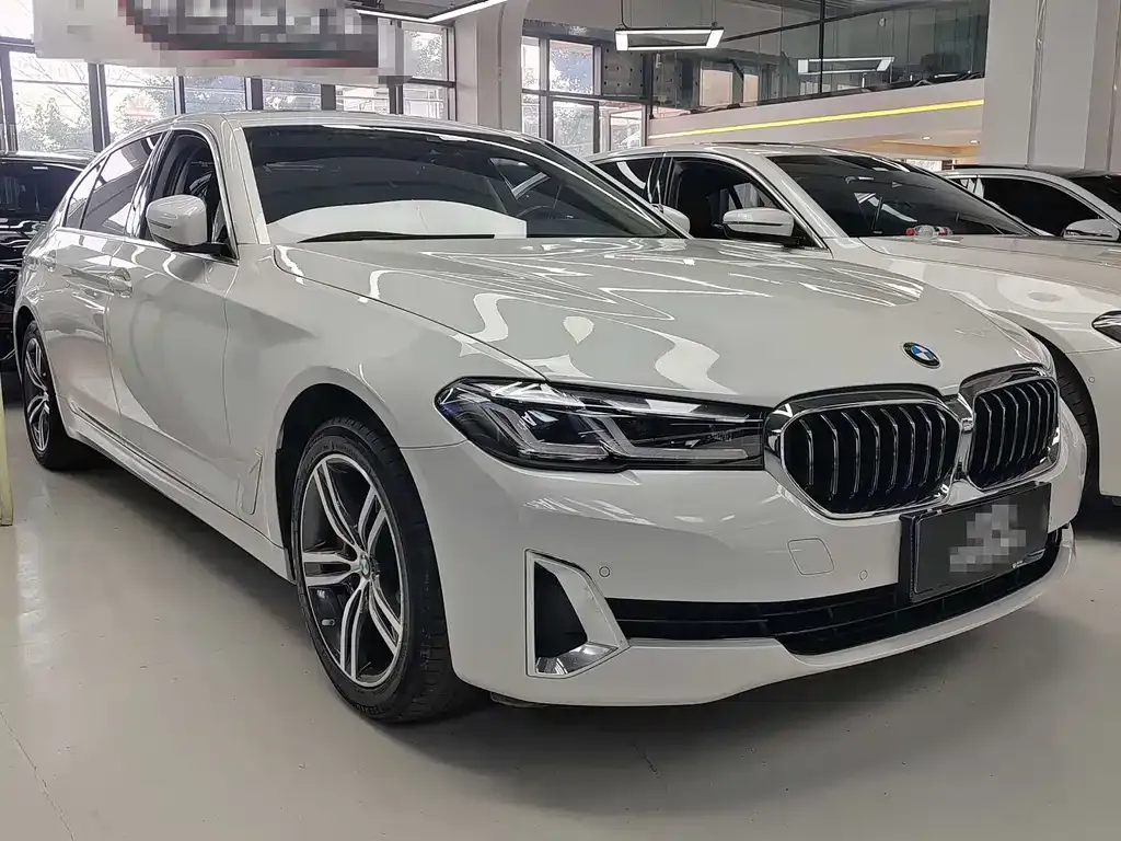BMW 5 Series 2021 из CN, фото 5