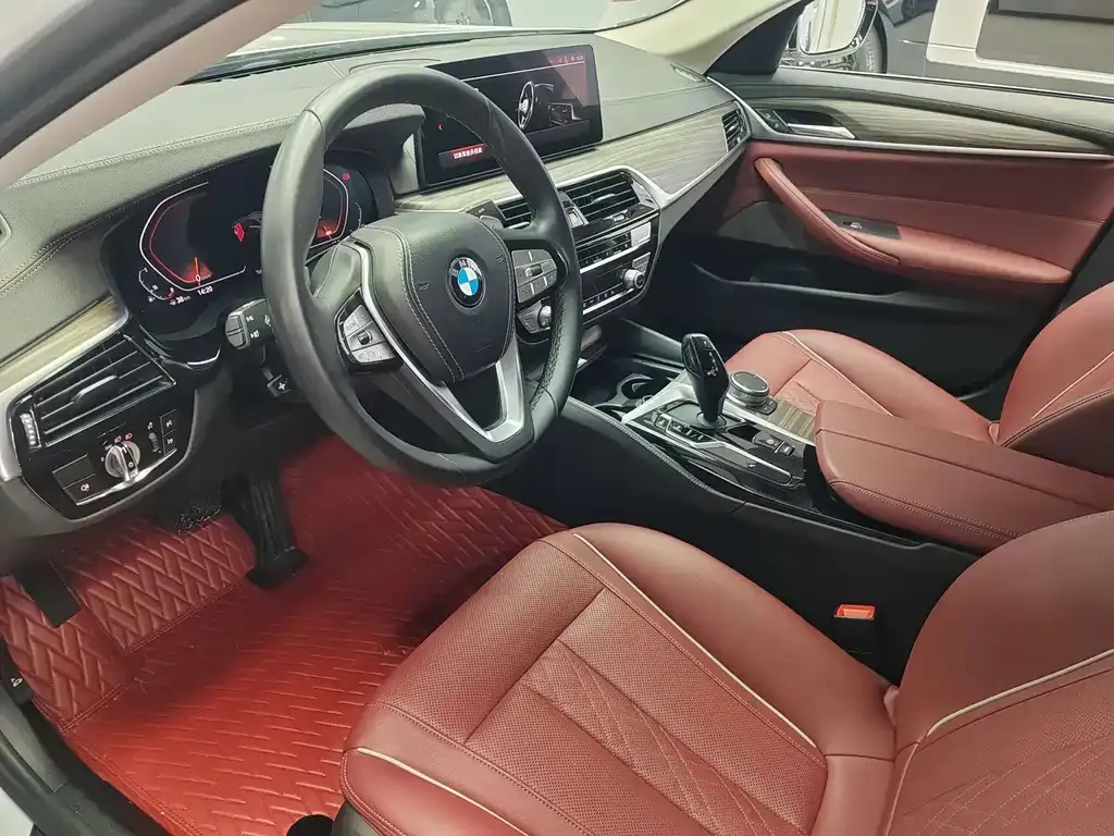 BMW 5 Series 2021 из CN, фото 6
