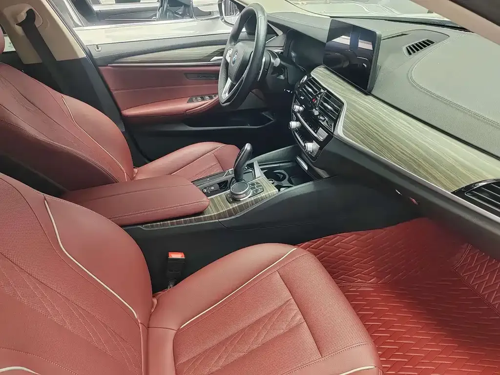 BMW 5 Series 2021 из CN, фото 10