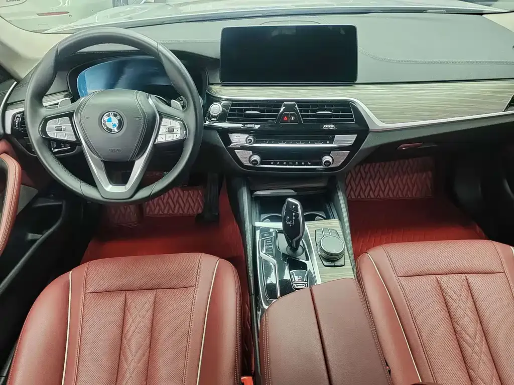 BMW 5 Series 2021 из CN, фото 9