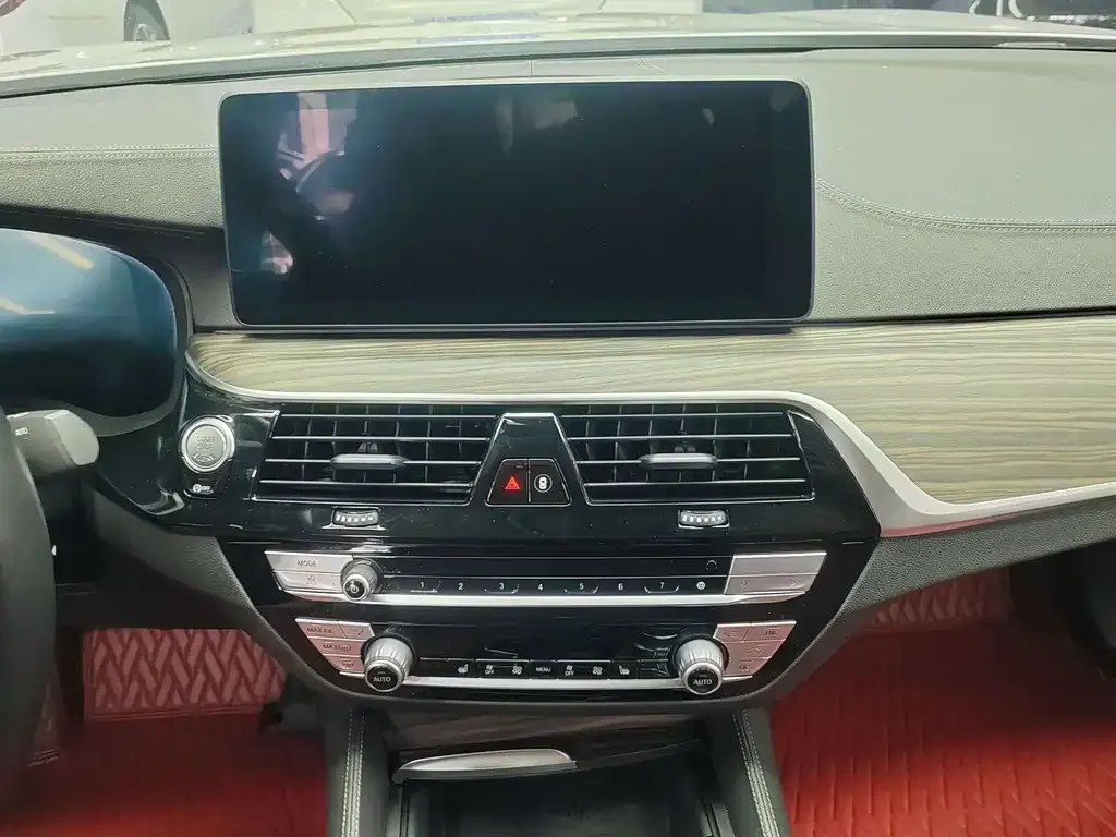 BMW 5 Series 2021 из CN, фото 7