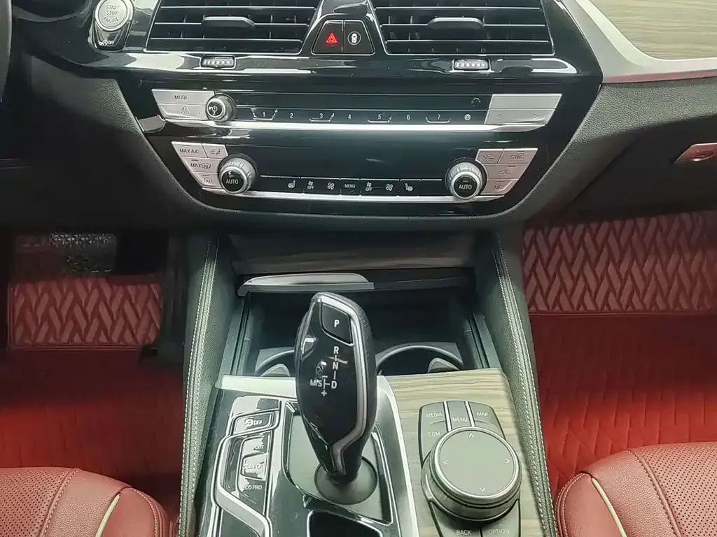 BMW 5 Series 2021 из CN, фото 8