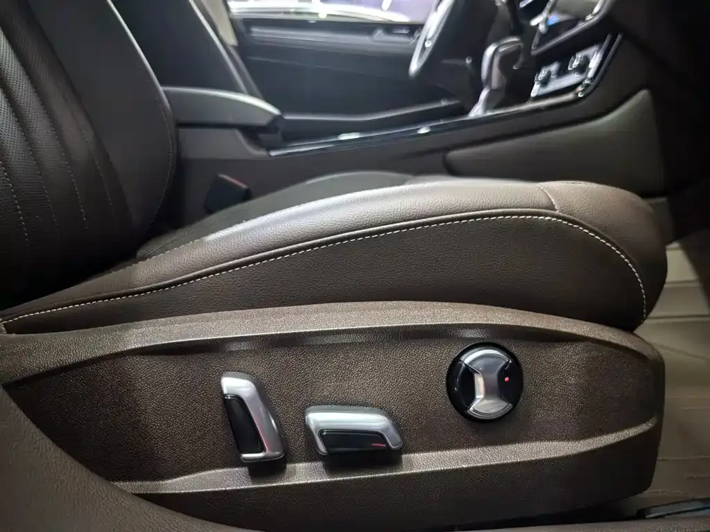 Volkswagen Phideon 2021 из CN, фото 2