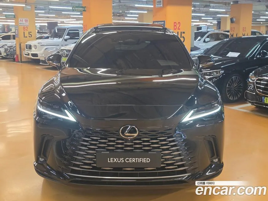 Lexus RX 2024 из KR, фото 8