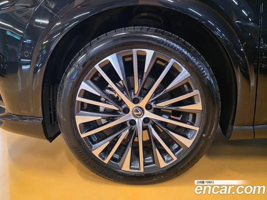Lexus RX 2024 из KR, фото 9