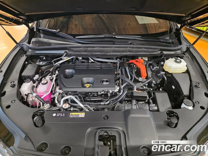 Lexus RX 2024 из KR, фото 7