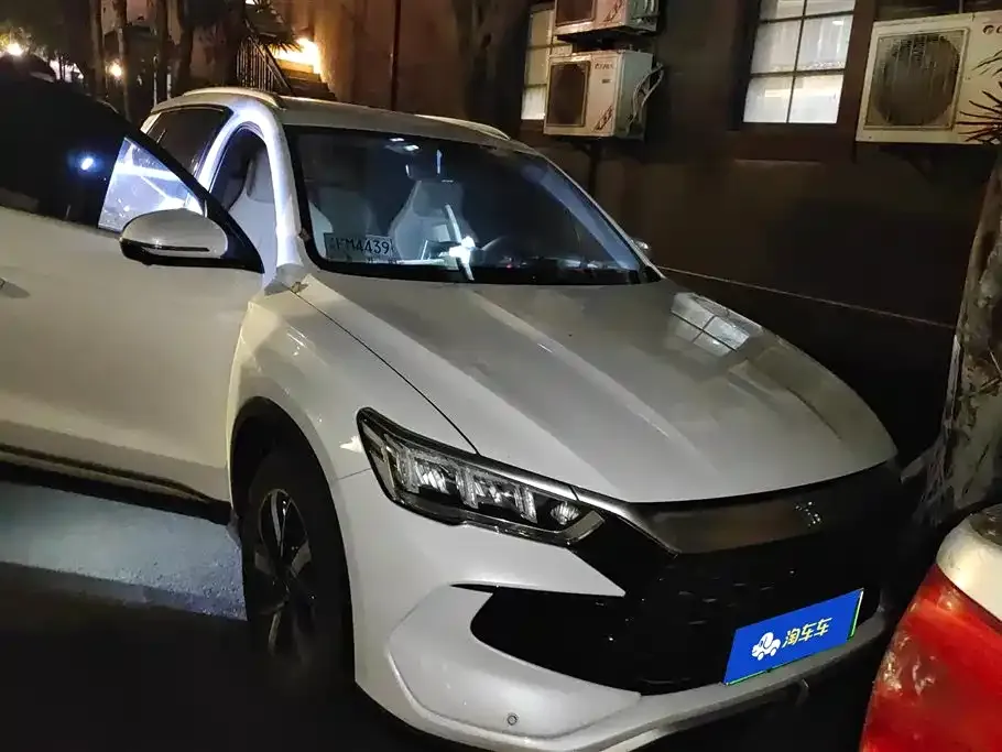 BYD Pro New Energy 2024 из CN, фото 4