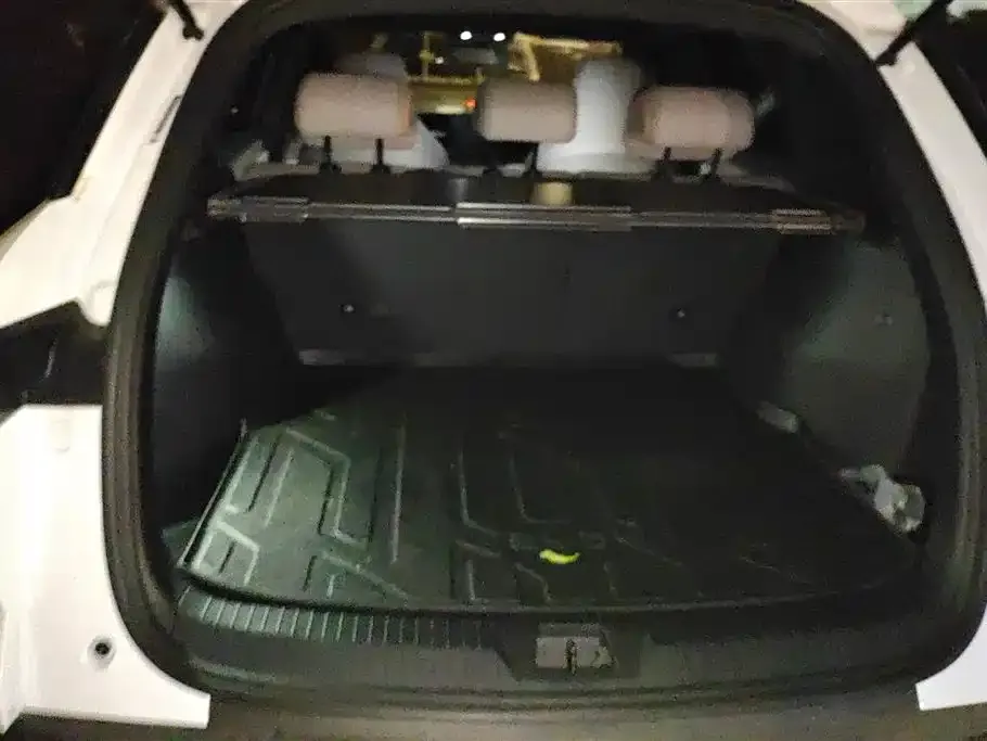 BYD Pro New Energy 2024 из CN, фото 7