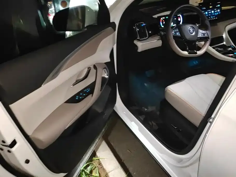 BYD Pro New Energy 2024 из CN, фото 5