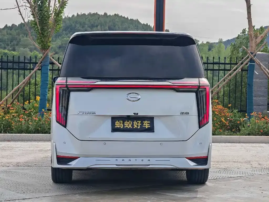 GAC Motor Trumpchi M8 2023 из CN, фото 6