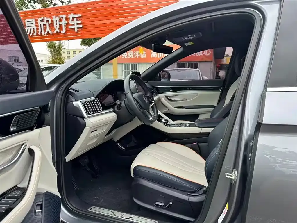 BYD PLUS New Energy — фото 5