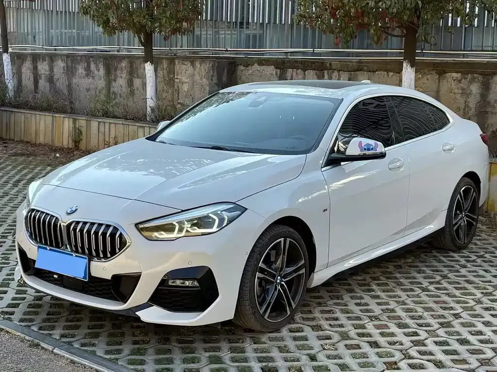 BMW 2 Series (Import) — фото 1