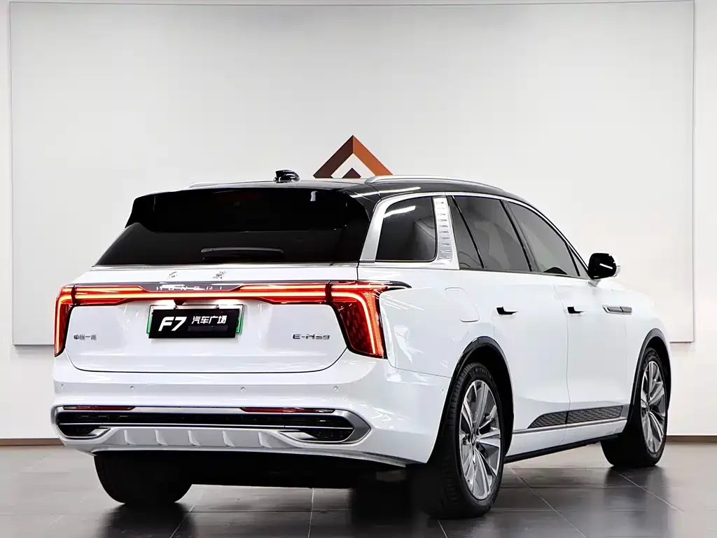 Hongqi E-HS9 — фото 10