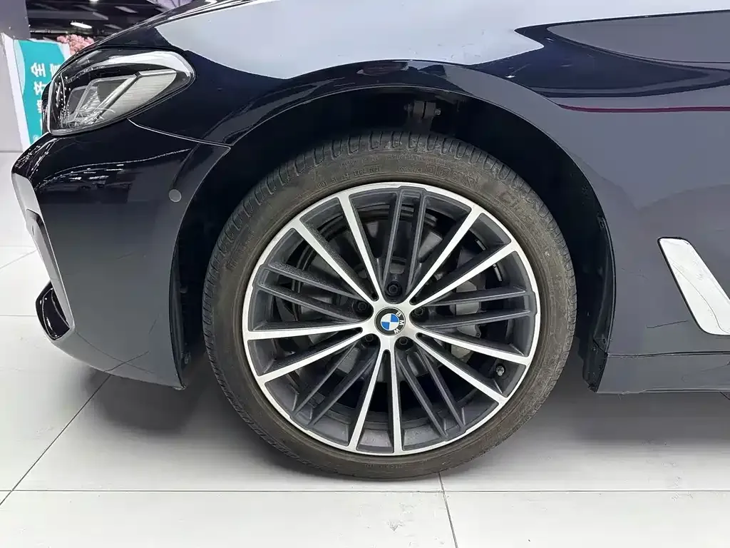 BMW 5 Series 2022 из CN, фото 4