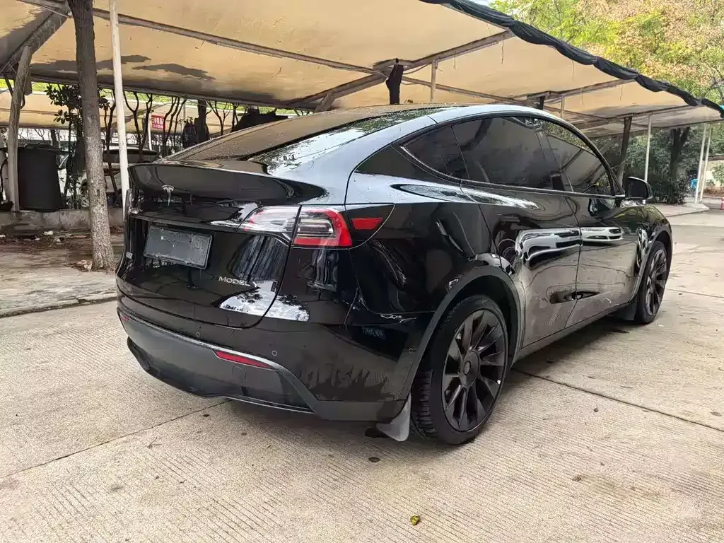 Tesla Model Y 2023 из CN, фото 9