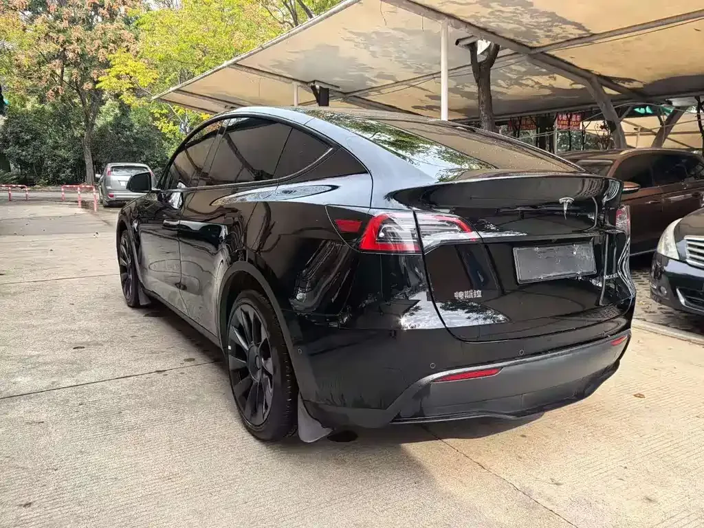 Tesla Model Y 2023 из CN, фото 4