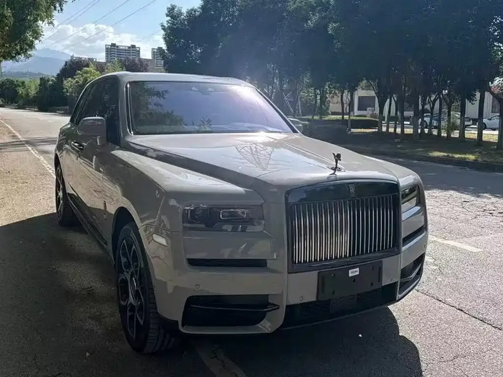Rolls-Royce Cullinan 2022 из CN, фото 4