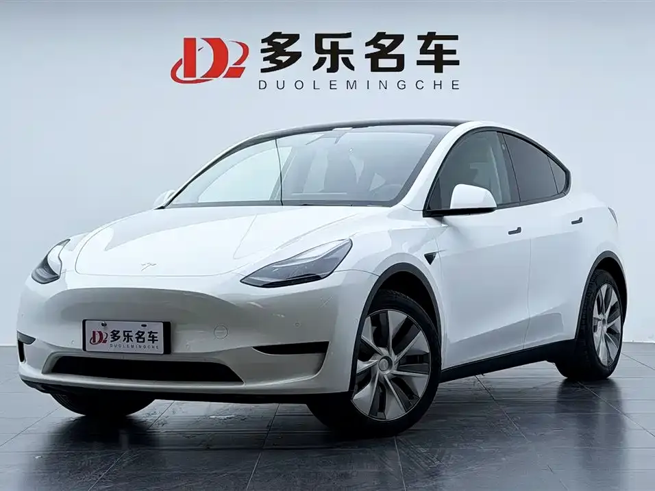 Tesla Model Y — фото 1