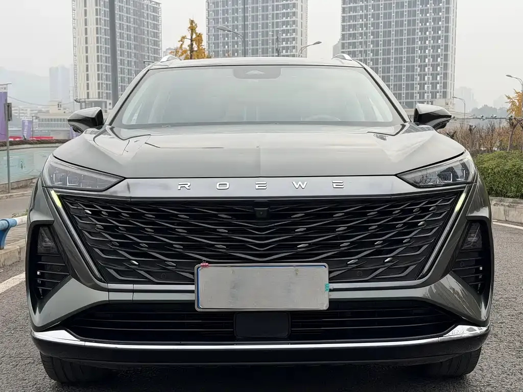 Roewe RX9 2023 из CN, фото 6