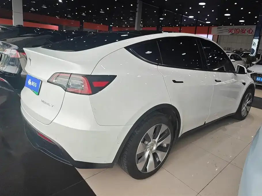 Tesla Model Y — фото 9