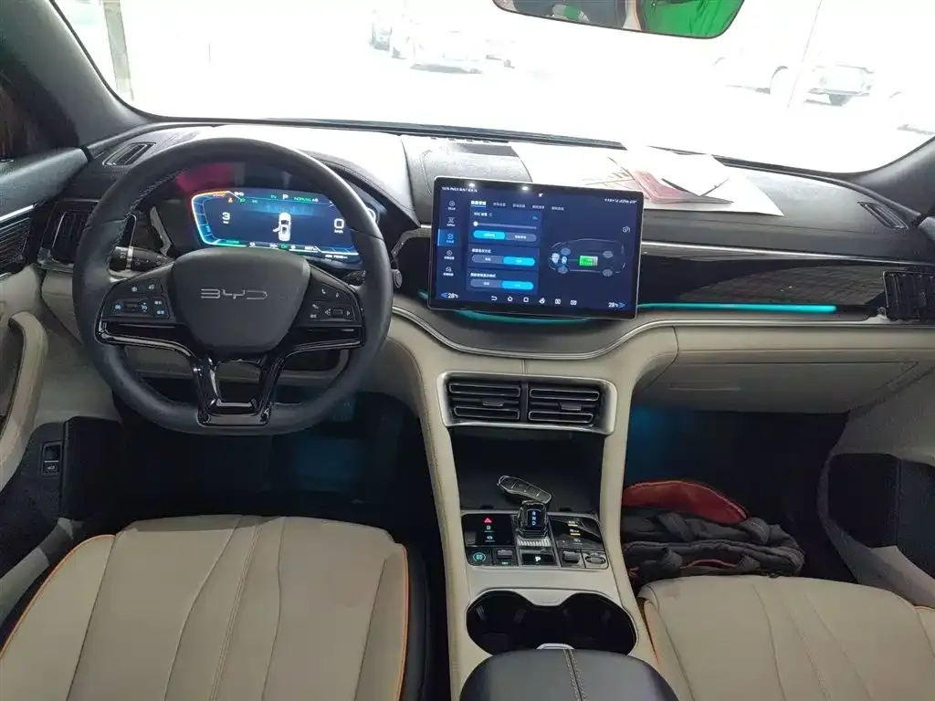 BYD PLUS New Energy 2024 из CN, фото 9