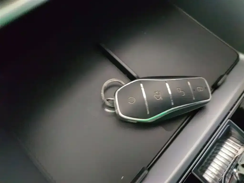 BYD PLUS New Energy 2024 из CN, фото 2