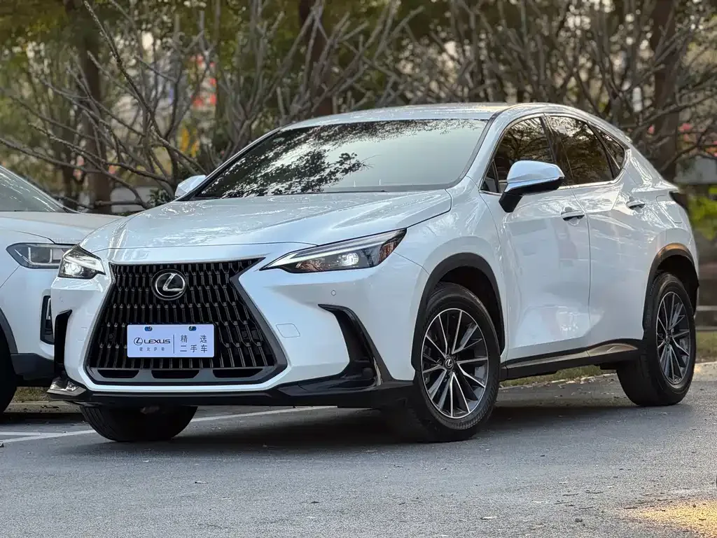 Lexus NX 2023 из CN, фото 1