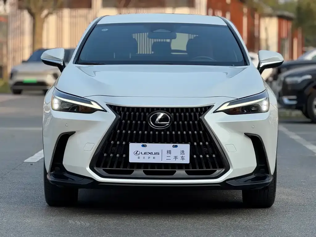 Lexus NX 2023 из CN, фото 9