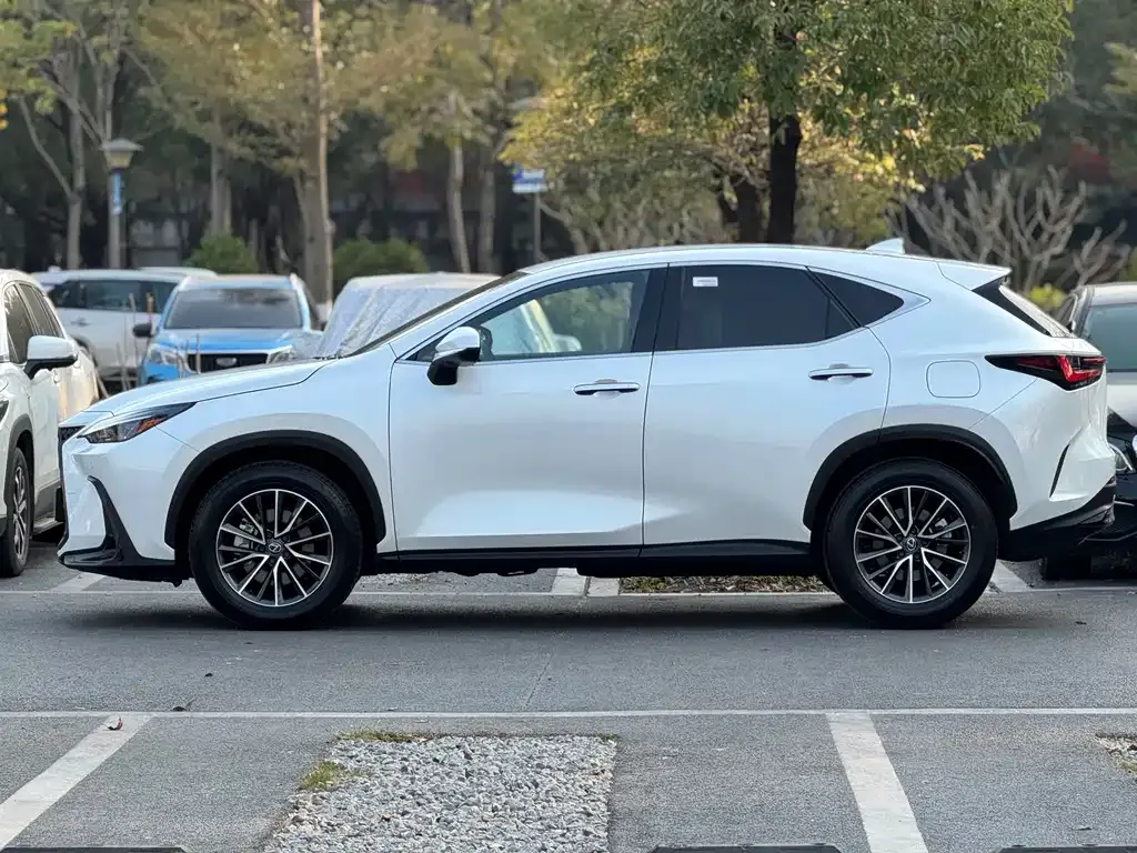 Lexus NX 2023 из CN, фото 10
