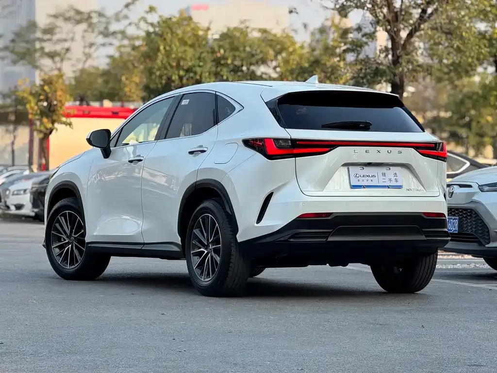 Lexus NX 2023 из CN, фото 2